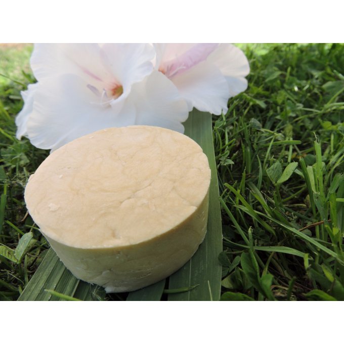 Shampoing Solide Cheveux Secs - mangue & orange